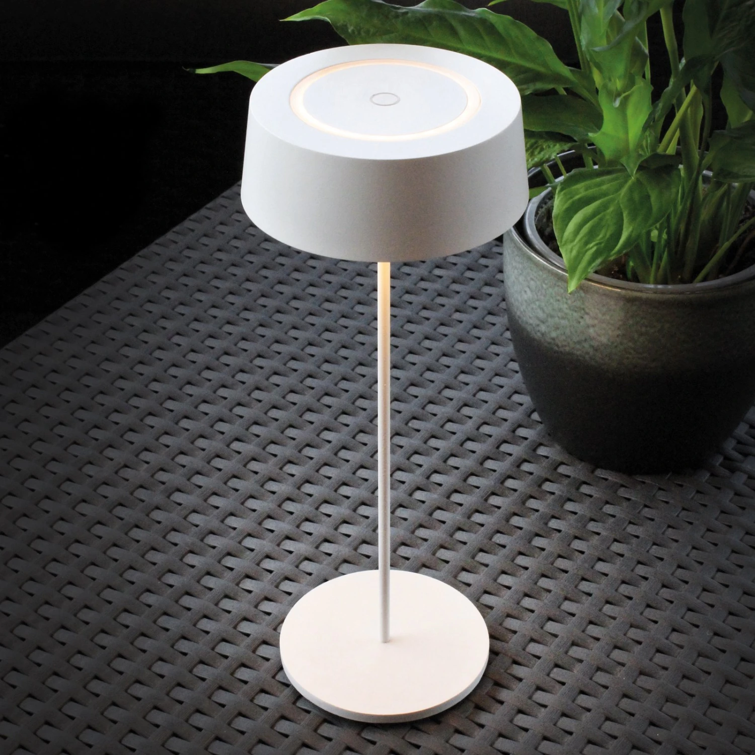 Lampe De Table Batterie LED Cocktail, Dim, Blanche 2 Lampe De Table Batterie LED Cocktail, Dim, Blanche – Image 2