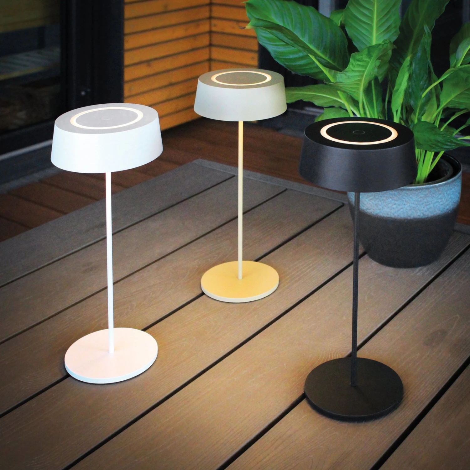 Lampe De Table Batterie LED Cocktail, Dim, Blanche 8 Lampe De Table Batterie LED Cocktail, Dim, Blanche – Image 8