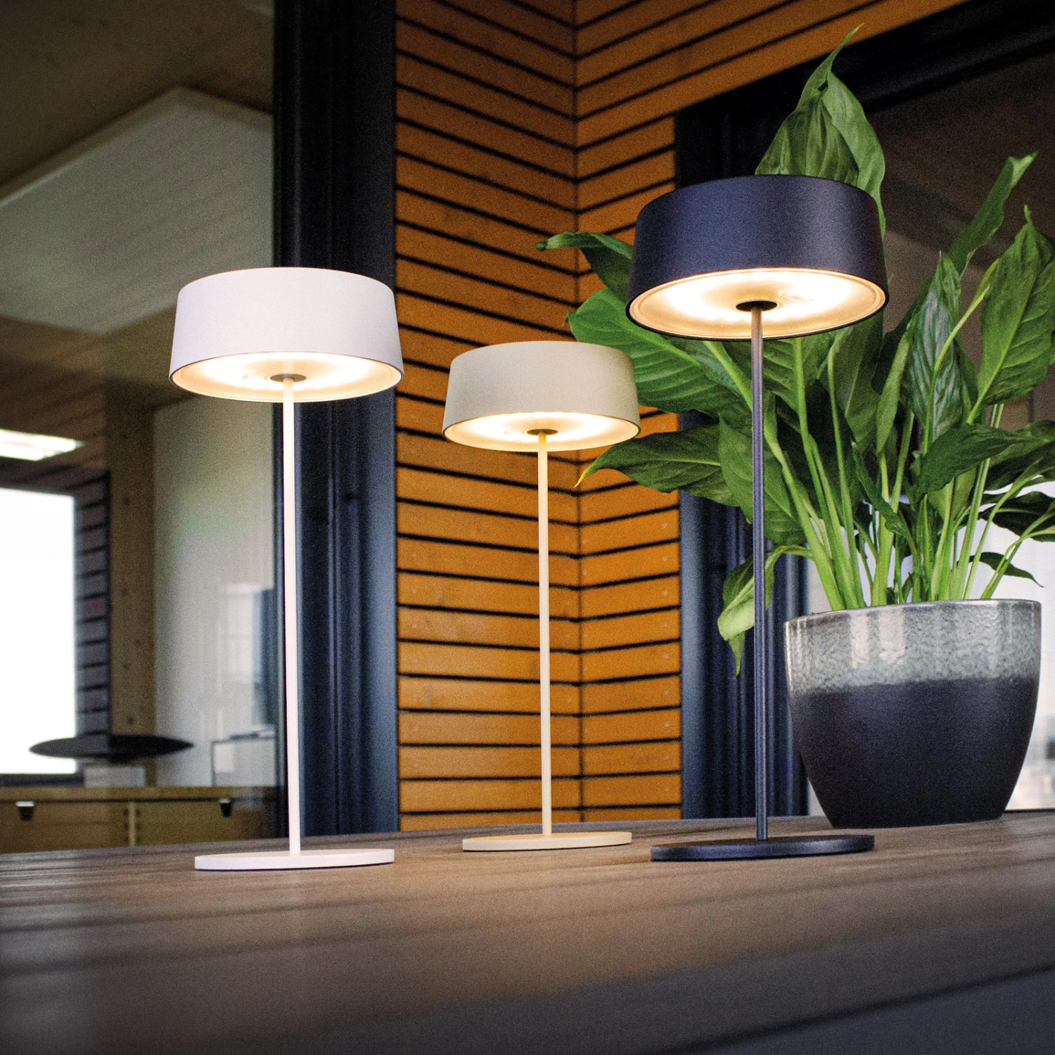 Lampe De Table Batterie LED Cocktail, Dim, Blanche 9 Lampe De Table Batterie LED Cocktail, Dim, Blanche – Image 9