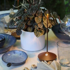 Zafferano Pina Lampe Table Batterie IP54 Corten