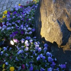 Star Trading Spot Sur Piquet Solaire LED Powerspot Sensor 50 lm