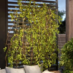 Lindby Styrmir Guirlande Solaire, 120 LED, 20 m