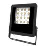 EVN Panthera Spot D’extérieur LED IP65 50W 4 000K