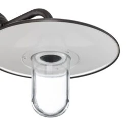 Applique Extérieur Golfo Laiton Bruni, Transparent 11 Applique Extérieur Golfo Laiton Bruni, Transparent -Konstsmide || Lucande Soldes Boutique 6515526 4