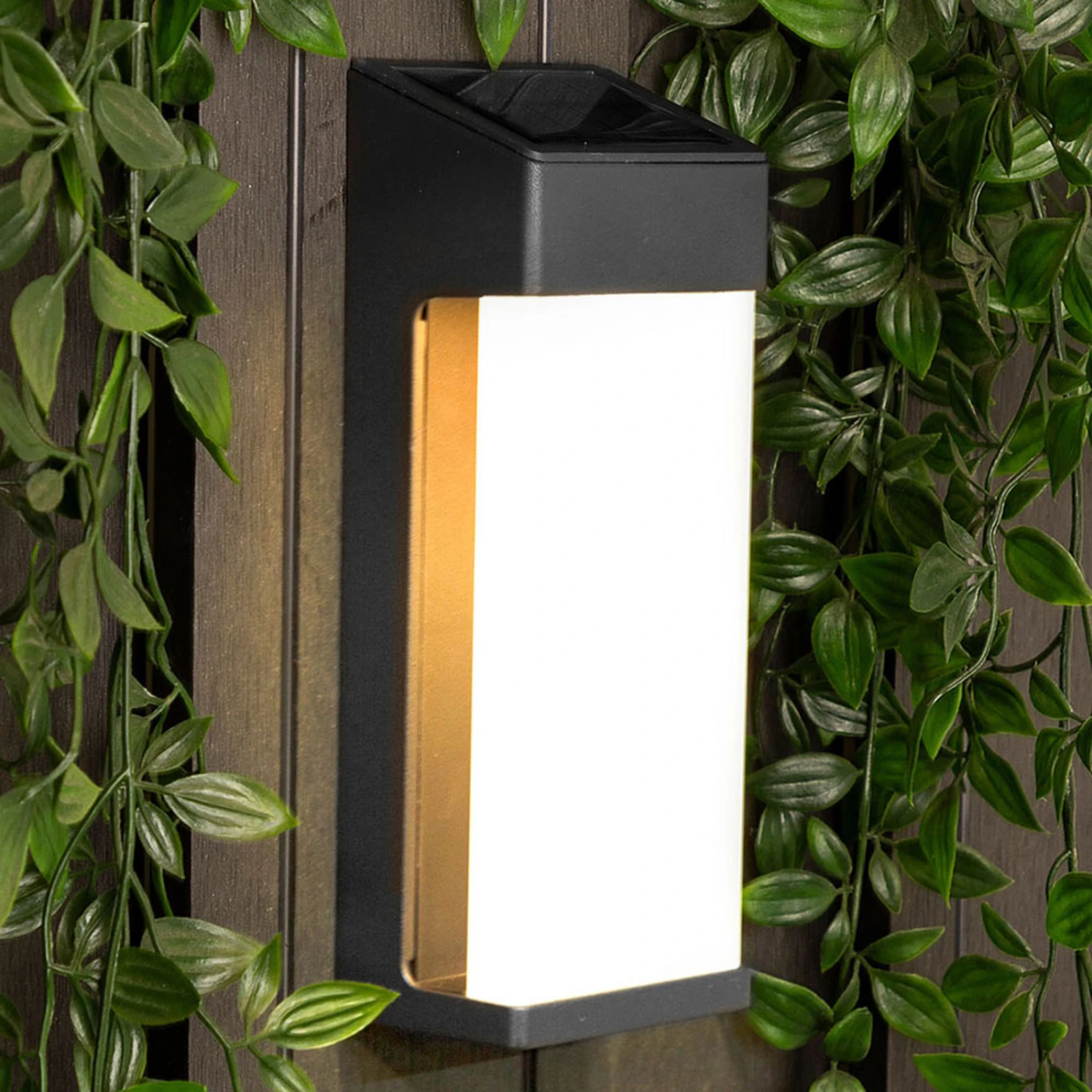 Smartwares Applique Solaire LED OSL-50009, IP44 1 Smartwares Applique Solaire LED OSL-50009, IP44